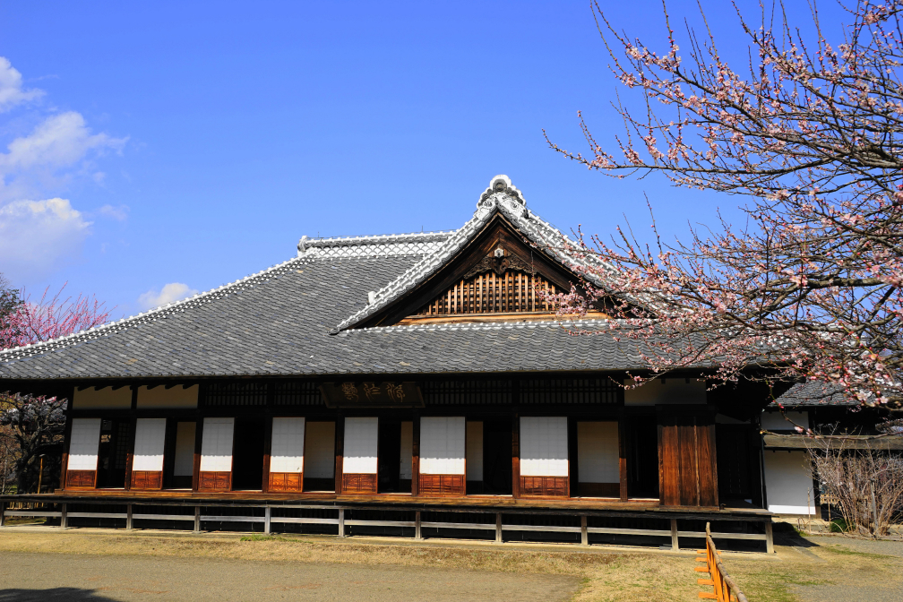 水戸 弘道館・正庁と白梅