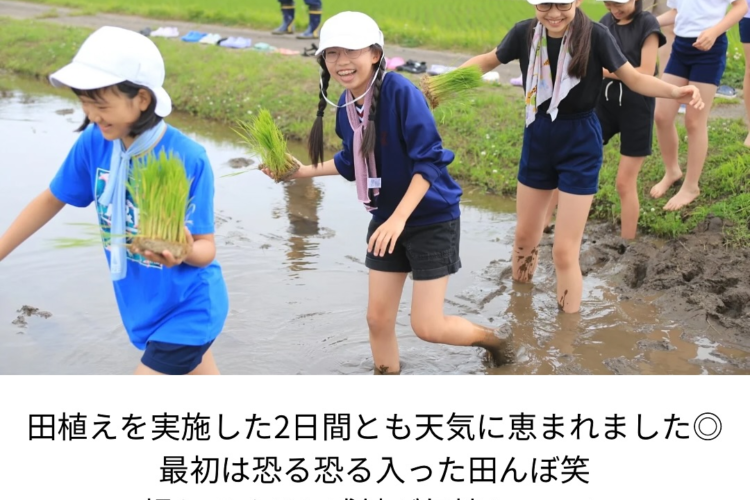 年間を通してお米を学ぶプログラム / 東洋英和女学院小学部