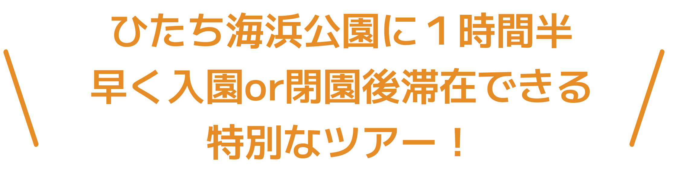 セクション1